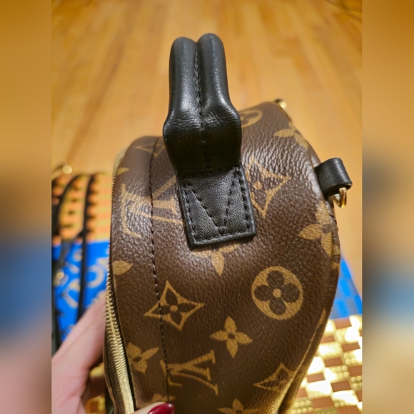 Louis Vuitton Palm Springs Mini - Picture 3 of 11